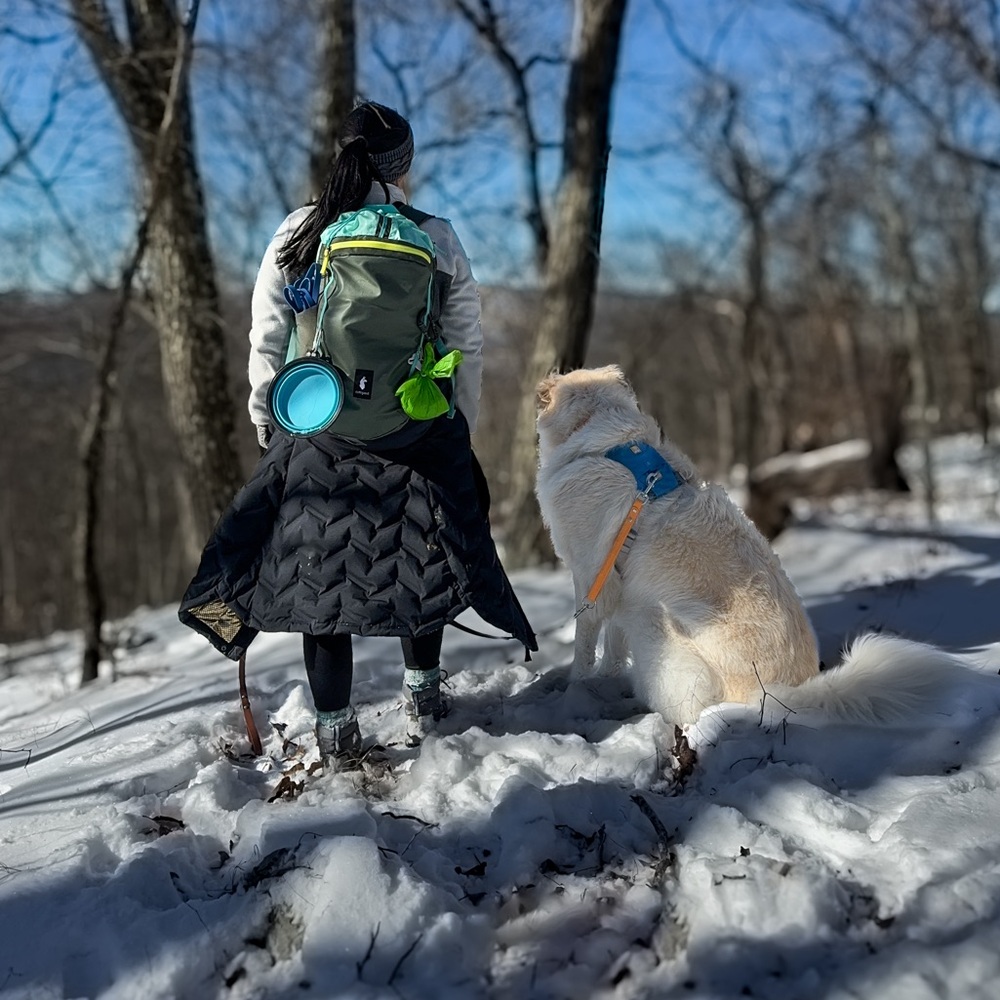 Cotopaxi Olive Green and Mint Backpack with Yellow Accent - Picture 7 of 8